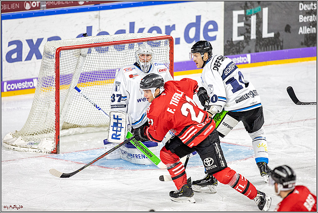 DEL; Koelner Haie - Straubing Tigers; Koeln, 17.11.2019